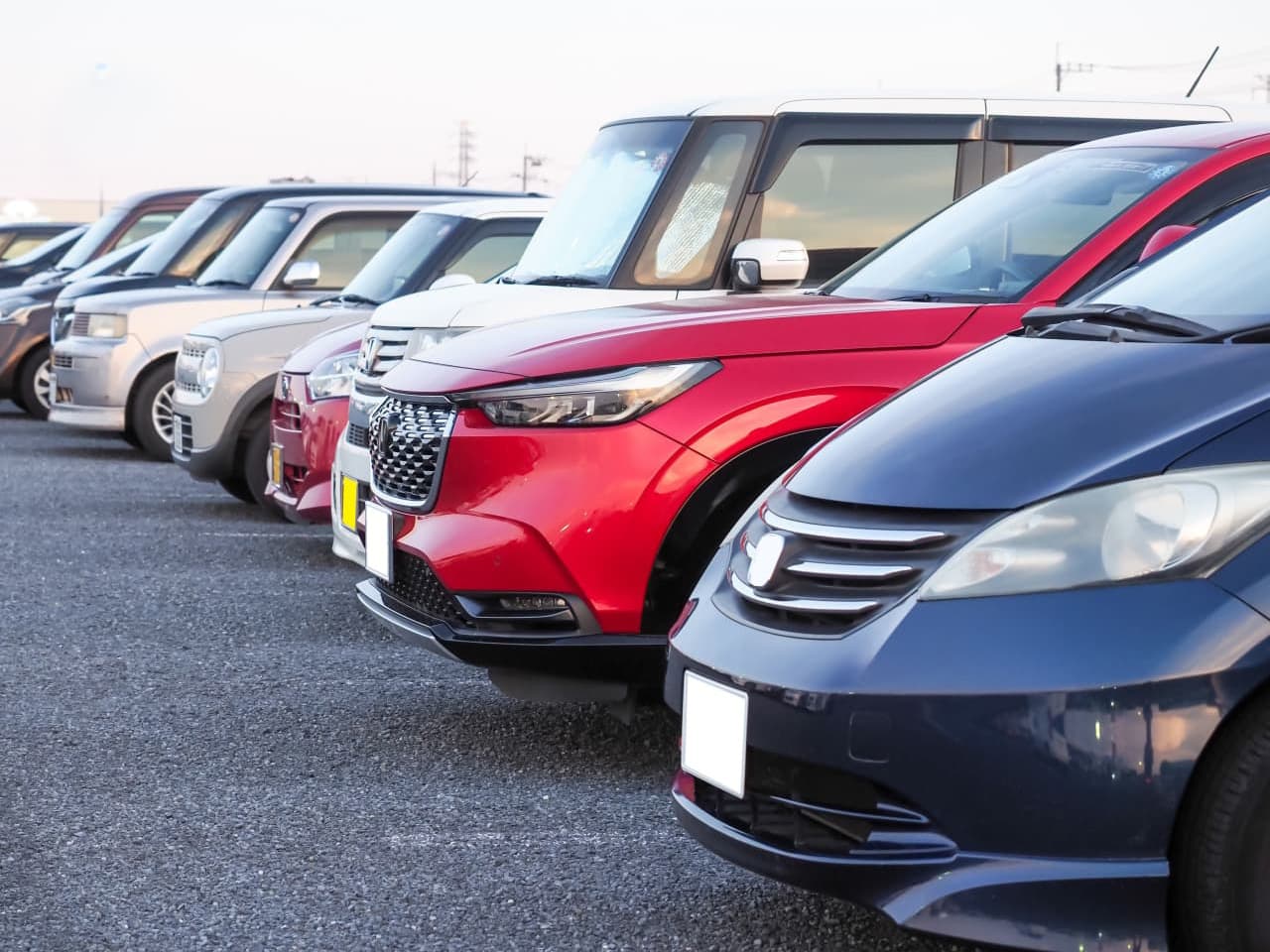 展示車両